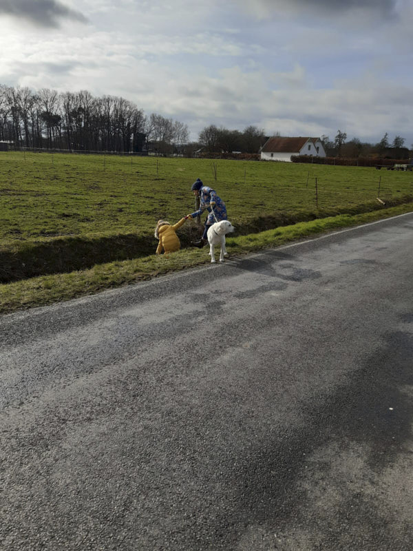 Aktion-saubere-Landschaft-15