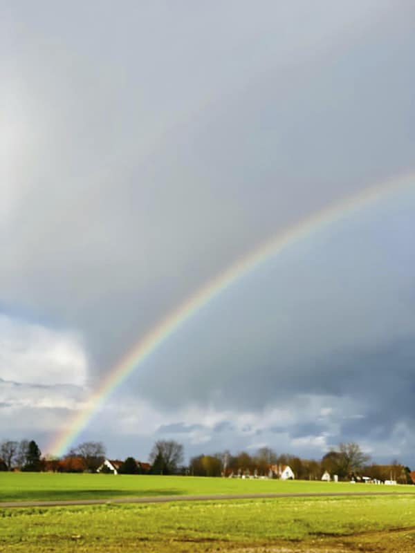 Aktion-saubere-Landschaft-20